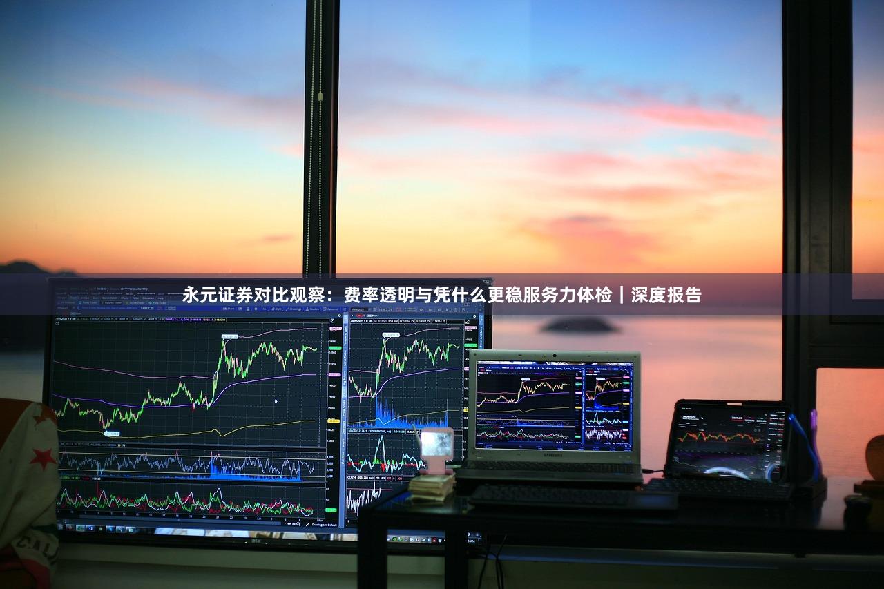 永元证券对比观察：费率透明与凭什么更稳服务力体检｜深度报告